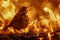 Dramatic Image of a Bird Singing Amidst Fiery Flames in a Warm Toned Setting Concept of Nature\\\'s Resilience and Survival