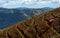 Dramatic image of a Haitian farm workers cultivating side of a mountain high in the caribbean island of the dominican republic.