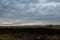 Dramatic lake landscape with burnt grass and reeds after natural fire, ecological pollution, global earth environmental problem