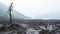 Dramatic landscape with dead trees in the crater of a volcano