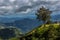 Dramatic landscape image of old isolated sunlite tree on top of a ridge in the caribbean mountains of the dominican republic.