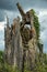 Dramatic Large rotten stump with moss, ivy, grass, woodpecker ho