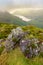 Dramatic Light Breaking Through Low Clouds Over Buttermere From Haystacks Fell In The Lake District, UK.