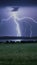 Dramatic lightning bolts over field and serene lake backdrop