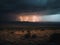Dramatic Lightning Strikes Over a Barren Landscape