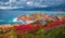 Dramatic marine scenery. Blooming red flowers on de la Pietra cape with Genoise de la Pietra a L`ile-Rousse tower on background.