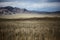 Dramatic Mongolian Grasslands