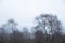 Dramatic moody Winter landscape image of Peak District in England during soft afternoon light