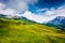 Dramatic morning scene of green mountain hills, Grindelwald village location. Spectacular summer view of  Bernese Alps, Jungfrau R