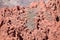 Dramatic mountainous landscape near Uquia in Jujuy Province, Argentina