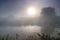 Dramatic mystical twilight landscape with rising sun, tree, reed and fog over water.