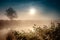 Dramatic mystical twilight landscape with rising sun, tree, reed and fog over water.