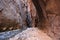 Dramatic Narrows hike in Zion National Park