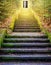 Dramatic nature background . Steps leading up to the sun.