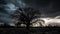 A dramatic and ominous silhouette of a stormy sky with a tree in the foreground created with Generative AI