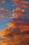 Dramatic orange clouds at sunset. Cloudscape abstract background photo.