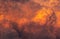 Dramatic orange sky and clouds abstract background. Top view of orange clouds. Warm weather background. Art picture of orange
