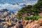 The dramatic Pacific Ocean coastline, California