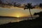 Dramatic palm tree and ocean view from Baby beach on Maui ot to Lanai.