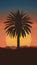 Dramatic palm tree silhouette against desert sunset backdrop