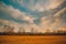 Dramatic panorama autumn winter landscape. Cloudy sky and trees without leaves