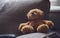 Dramatic photo of Teddy bear is sitting on sofa in dark room with sunlight shining from window, lowkey light shot of Lonely teddy