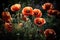 Dramatic Poppy Flowers in Full Bloom for Your Next Floral Project.