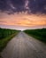 Dramatic purple sunset in the countryside farmland of sunflowers