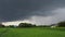 Dramatic rain clouds cover a green rice field.