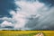 Dramatic Rain Sky With Rain Clouds On Horizon Above Rural Landscape Camola Colza Rapeseed Field. Country Road