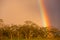 Dramatic Rainbow California Valley Landscape Rain Falling