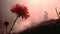 Dramatic Red Flower Silhouette On Hill: A Captivating Analog Photograph