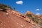 Dramatic red sandstone ridge at Kolob Canyon