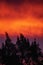 Dramatic red sunset on the Highveld in South Africa