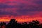Dramatic red sunset on the Highveld in South Africa