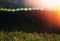 Dramatic river fence built from tree logs background