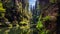 Dramatic river valley with wildly overgrown sandstone cliffs, saxony