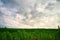 Dramatic rural landscape, Before storm at the field