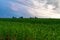 Dramatic rural landscape, Before storm at the field