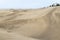 Dramatic sand dunes at Maspalomas on Gran Canaria. with palm trees.