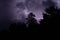 Dramatic scene of a thunderstorm illuminated by a streak of lightning over a field of trees