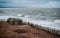 Dramatic seascape with a raging White sea and a fishing hut on the shore. Kandalaksha bay. Umba. Russia