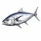 Dramatic Shading: Bluefin Tuna Illustration In White