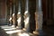 dramatic shadows cast by ornate stone pillars