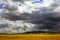 Dramatic Sky over yellow steppe