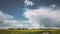 Dramatic Sky With Rain Clouds On Horizon Above Rural Landscape Camola Colza Rapeseed Field. Country Road. Agricultural