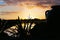 Dramatic sky at sunrise with silhouette large urn and flax