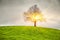 Dramatic sky and sunsrise over old lonely tree