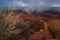 Dramatic Stage II - Dead Horse Point