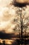 Dramatic storm clouds over a Teak woodland on summer day